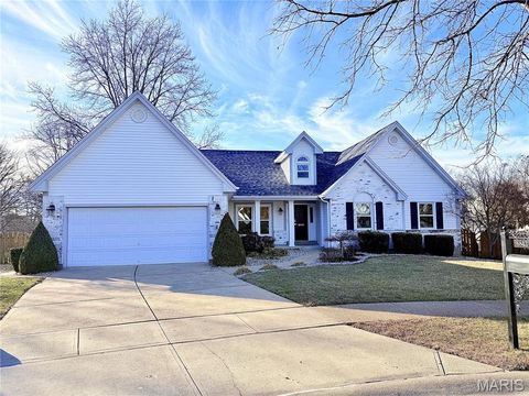 6843 Coffee Springs Drive S St Louis MO 63129