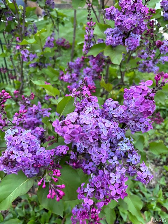 903 & 917 N 5th St - Residential