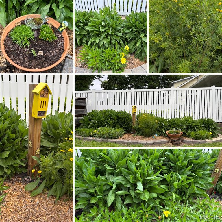 903 & 917 N 5th St - Residential