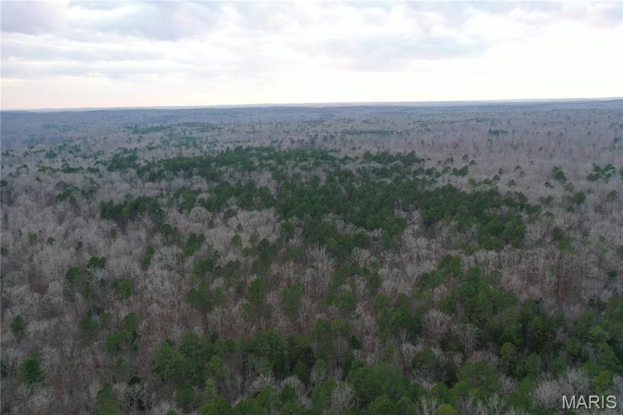 This beautiful property is located just north of Doniphan, in Timberlane Estate Subdivision. The property consists of a gentle topography, marketable timber, and several potential build sites. Electric is nearby, and the only thing missing is your next dream home or weekend getaway cabin. If this is not enough acreage to get the job done on a mature whitetail or turkey, thousands of acres of Mark Twain National Forest are nearby, making the hunting opportunities endless. The Current River is also close by, where you can enjoy excellent floating, fishing, and boating. Whether you are looking for a property to build, hunt, or camp, this is a must-see! Call today to schedule your own private tour.