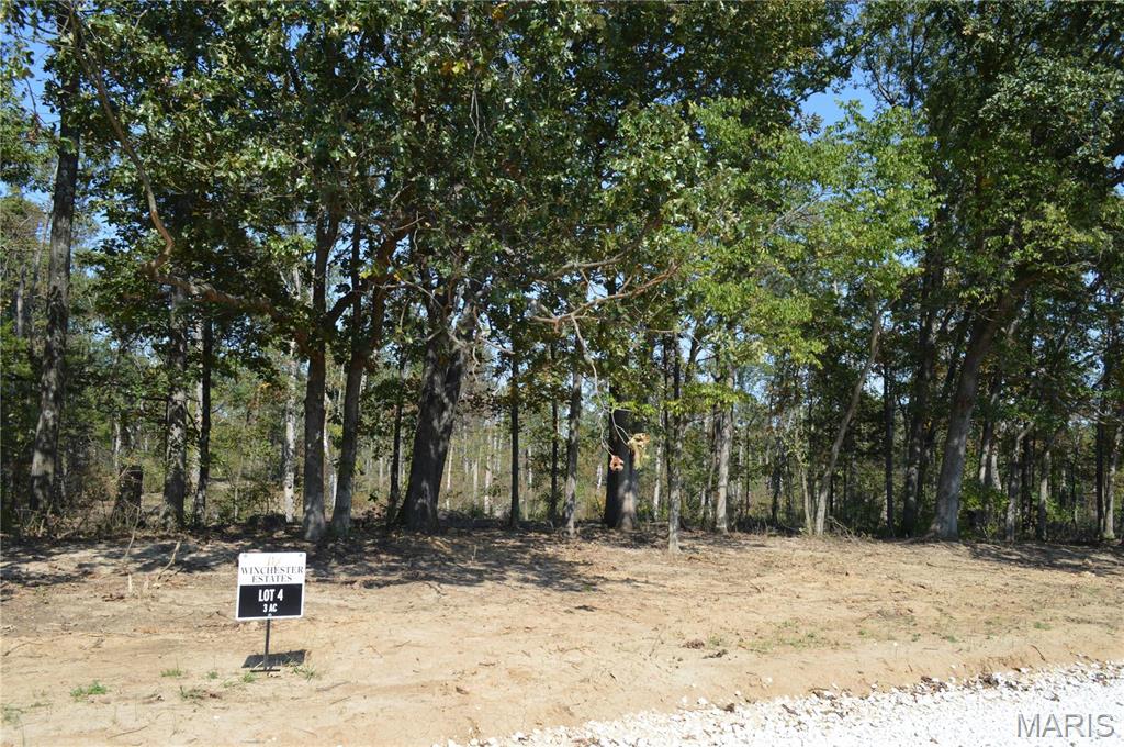 Wright City, Missouri 63390, United States, ,Land,Active,21667