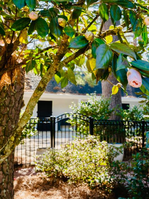 Tiny photo for 607 Colleton Avenue SE, Aiken, SC 29801 (MLS # 221708)