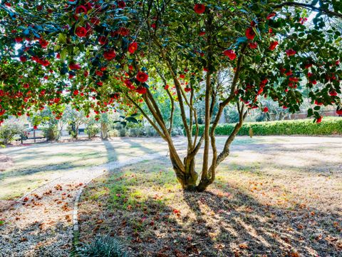 Tiny photo for 607 Colleton Avenue SE, Aiken, SC 29801 (MLS # 221708)