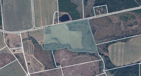 Photo of Tbd Fire Tower Road, Springfield, SC 29146 (MLS # 223050)