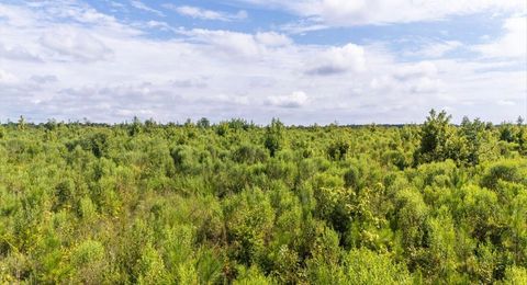 Photo of 0 Ouzts Road, Edgefield, SC 29824 (MLS # 223541)