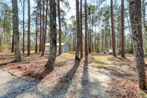 Tiny photo for 1107 Plum Road, Jackson, SC 29831 (MLS # 222190)