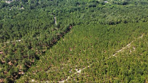 Unimproved Land in Batesburg-Leesville SC 0 Dixie Street.jpg