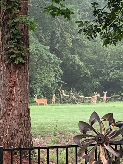 Tiny photo for 401 Northwood Drive, Aiken, SC 29803 (MLS # 221952)