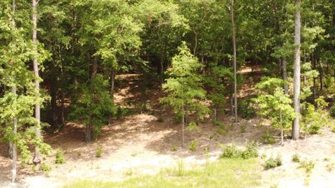 Single Family Residence in Aiken SC Lot 11 River Birch Road.jpg