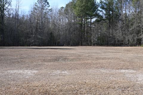Tiny photo for 550 Old Shoals Road, Monetta, SC 29105 (MLS # 221262)