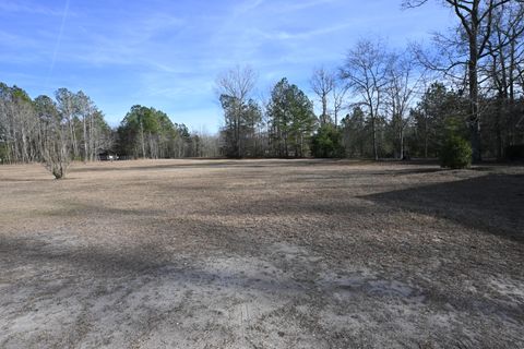 Tiny photo for 550 Old Shoals Road, Monetta, SC 29105 (MLS # 221262)