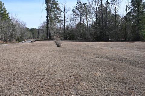 Tiny photo for 550 Old Shoals Road, Monetta, SC 29105 (MLS # 221262)