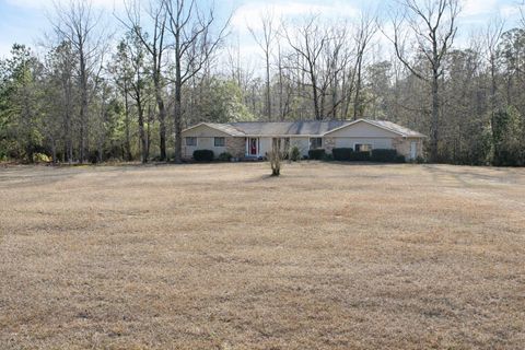 Tiny photo for 550 Old Shoals Road, Monetta, SC 29105 (MLS # 221262)