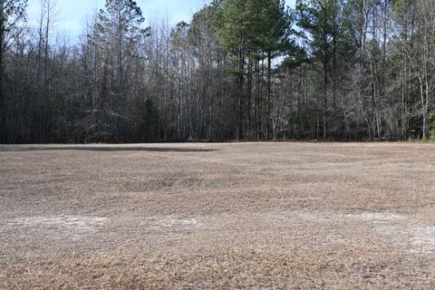 Tiny photo for 550 Old Shoals Road, Monetta, SC 29105 (MLS # 221262)