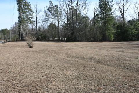 Tiny photo for 550 Old Shoals Road, Monetta, SC 29105 (MLS # 221262)
