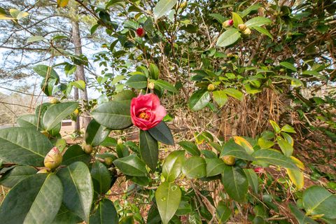 Tiny photo for 1164 Arbutus Hills Drive, Aiken, SC 29801 (MLS # 221572)