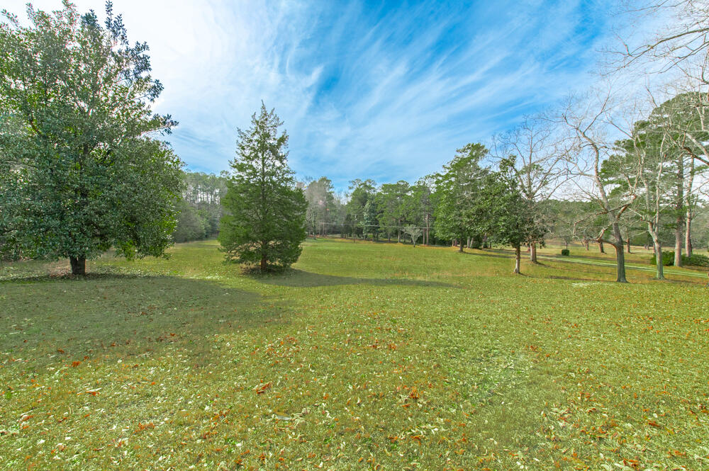 1164 Arbutus Hills Drive