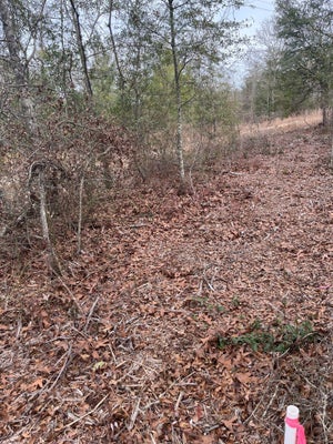 101 RAINBOW DR, WAGENER, SC 29164 - Image 0abbabdaefa4e4f2332664f8a3320b65/1740946203