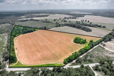 Tiny photo for 196 Brodie Hall Road, Wagener, SC 29164 (MLS # 217899)