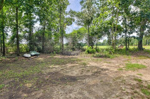 Tiny photo for 196 Brodie Hall Road, Wagener, SC 29164 (MLS # 217899)