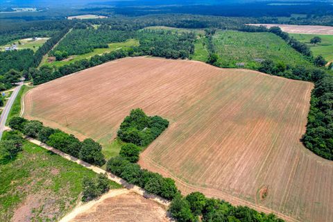 Tiny photo for 196 Brodie Hall Road, Wagener, SC 29164 (MLS # 217899)