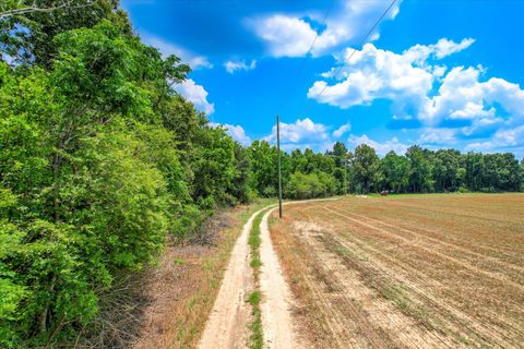 Tiny photo for 196 Brodie Hall Road, Wagener, SC 29164 (MLS # 217899)