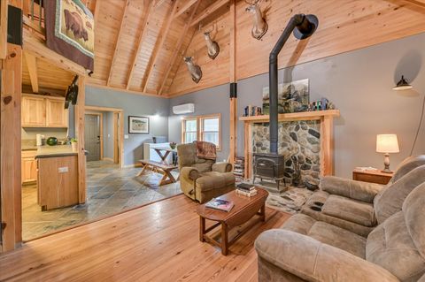 Tiny photo for 196 Brodie Hall Road, Wagener, SC 29164 (MLS # 217899)