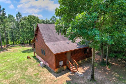 Tiny photo for 196 Brodie Hall Road, Wagener, SC 29164 (MLS # 217899)