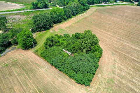 Tiny photo for 196 Brodie Hall Road, Wagener, SC 29164 (MLS # 217899)