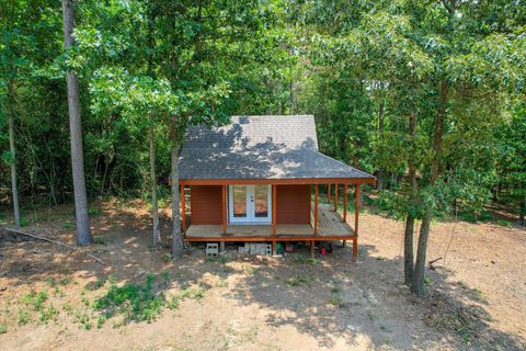 Tiny photo for 196 Brodie Hall Road, Wagener, SC 29164 (MLS # 217899)