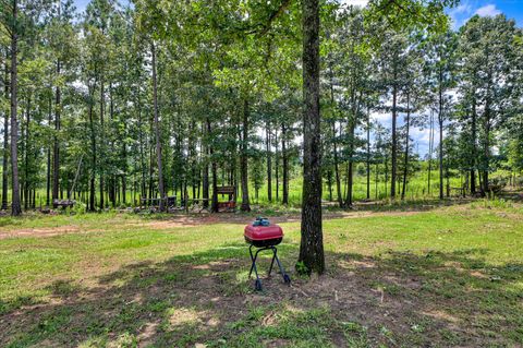 Tiny photo for 196 Brodie Hall Road, Wagener, SC 29164 (MLS # 217899)