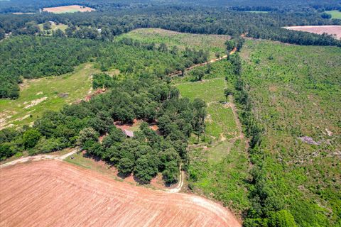 Tiny photo for 196 Brodie Hall Road, Wagener, SC 29164 (MLS # 217899)