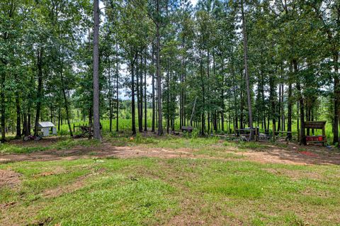 Tiny photo for 196 Brodie Hall Road, Wagener, SC 29164 (MLS # 217899)