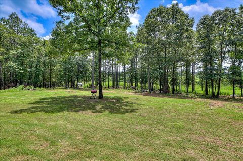 Tiny photo for 196 Brodie Hall Road, Wagener, SC 29164 (MLS # 217899)