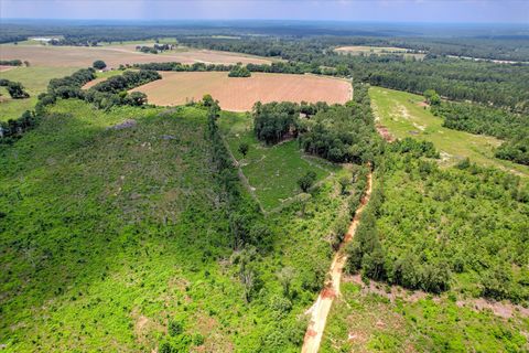 Tiny photo for 196 Brodie Hall Road, Wagener, SC 29164 (MLS # 217899)