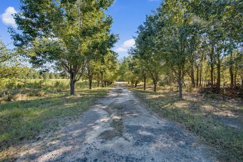 Tiny photo for 448 Blossom Road, Barnwell, SC 29812 (MLS # 220054)
