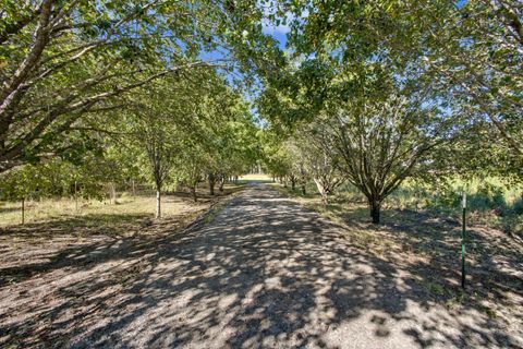 Tiny photo for 448 Blossom Road, Barnwell, SC 29812 (MLS # 220054)