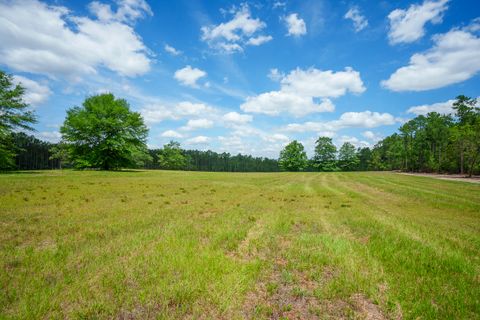 Agriculture in Aiken SC 000 Carillon Court 7.jpg