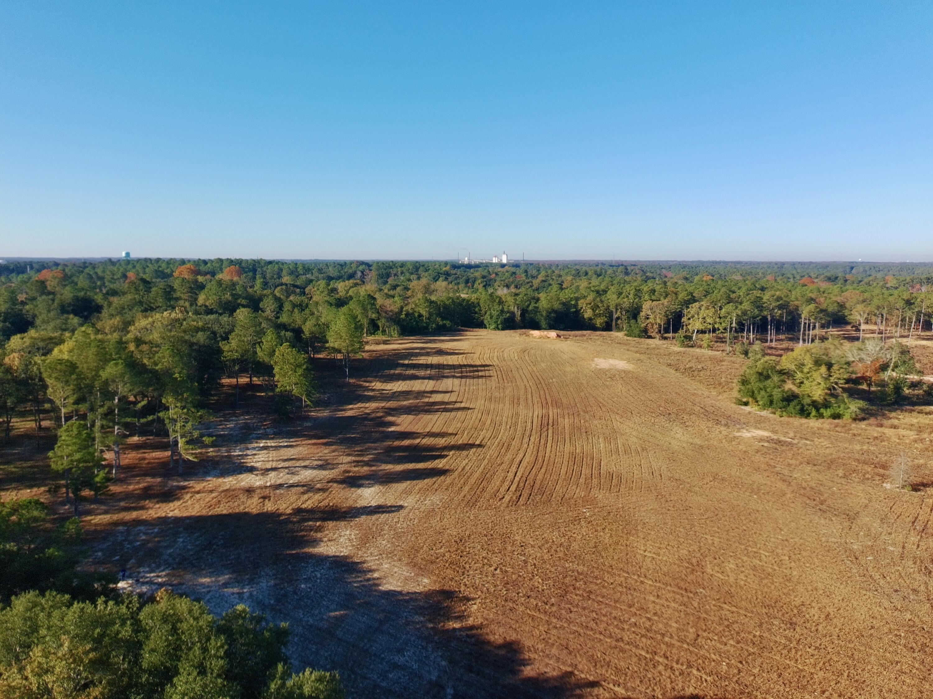 65 Acres Wagener Road