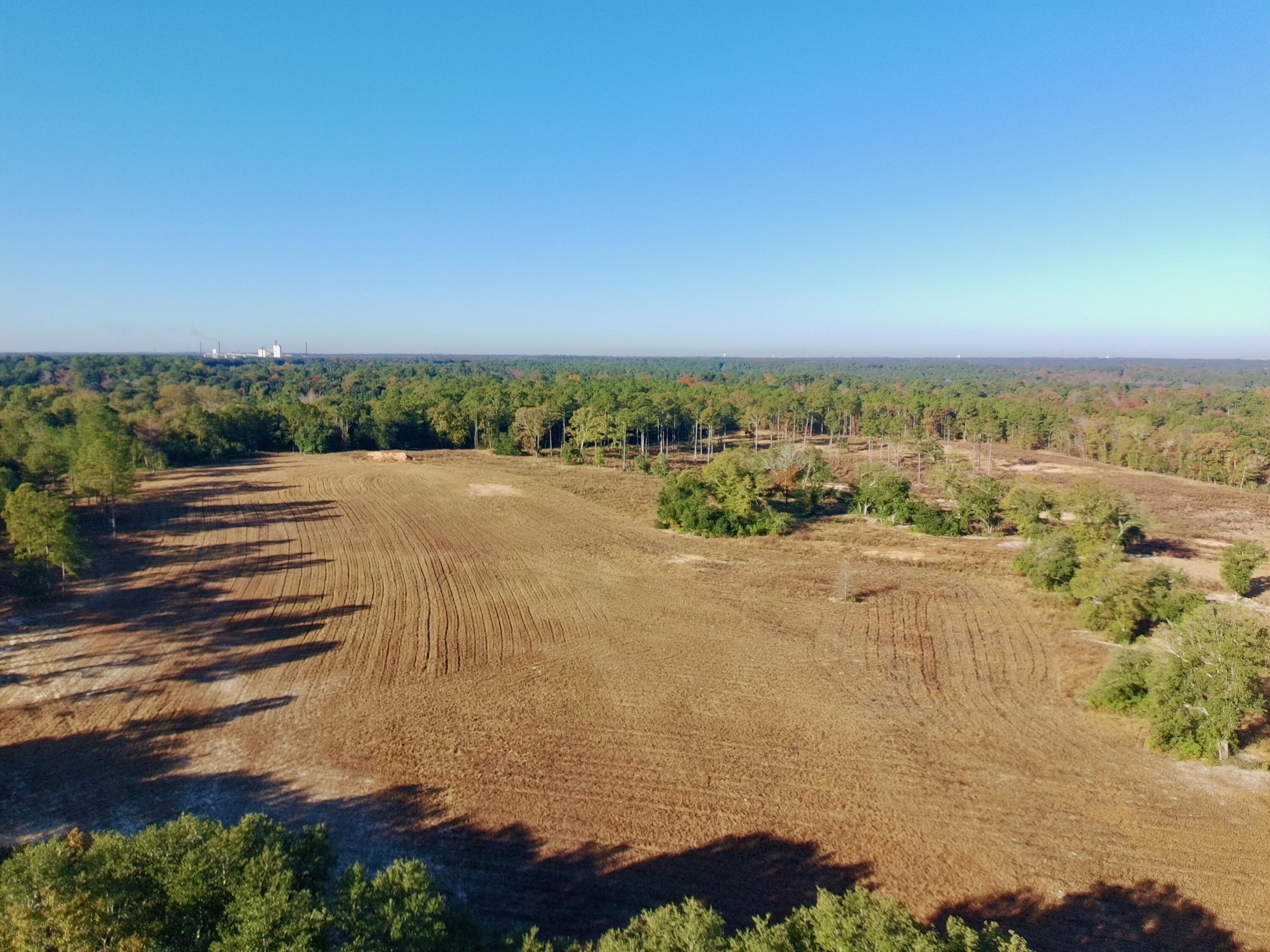 65 Acres Wagener Road