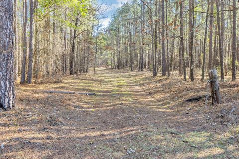 Photo of 0000 Banks Mill Road SE, Aiken, SC 29803 (MLS # 222426)