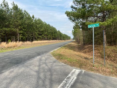 Unimproved Land in Wagener SC Lot 14 - Collum Pond Road Rd.jpg