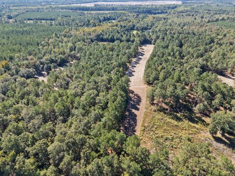Tiny photo for 7901 Ashleigh Road, Blackville, SC 29817 (MLS # 220029)