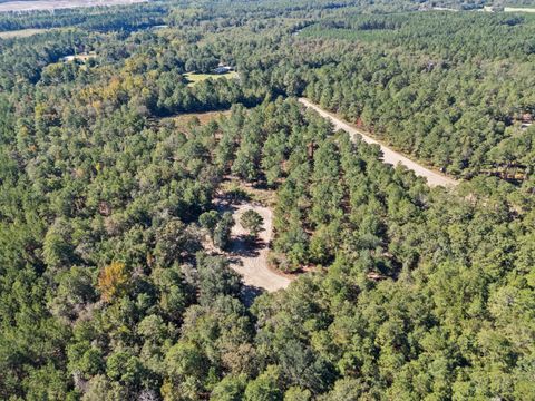 Tiny photo for 7901 Ashleigh Road, Blackville, SC 29817 (MLS # 220029)