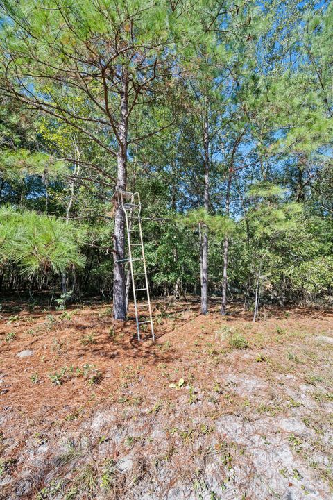 Tiny photo for 7901 Ashleigh Road, Blackville, SC 29817 (MLS # 220029)