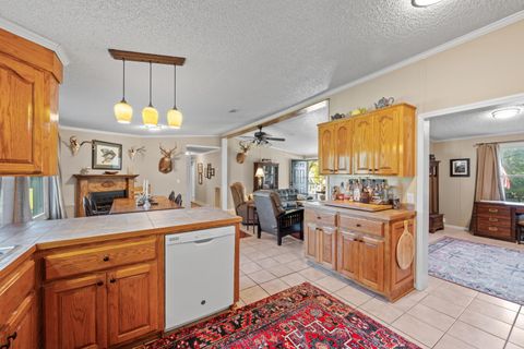 Tiny photo for 7901 Ashleigh Road, Blackville, SC 29817 (MLS # 220029)