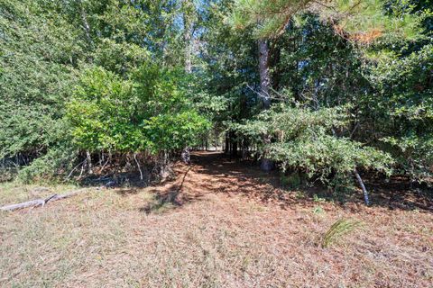 Tiny photo for 7901 Ashleigh Road, Blackville, SC 29817 (MLS # 220029)