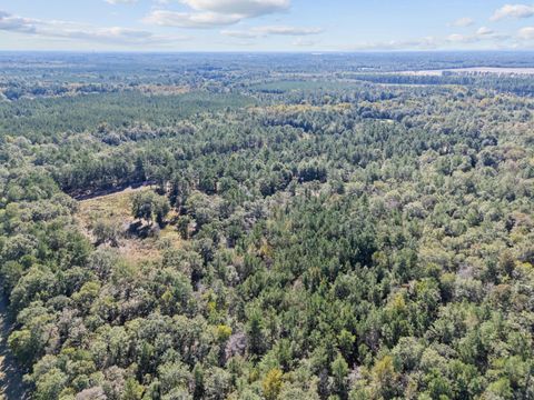 Tiny photo for 7901 Ashleigh Road, Blackville, SC 29817 (MLS # 220029)