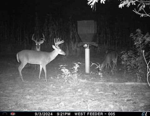 Tiny photo for 7901 Ashleigh Road, Blackville, SC 29817 (MLS # 220029)