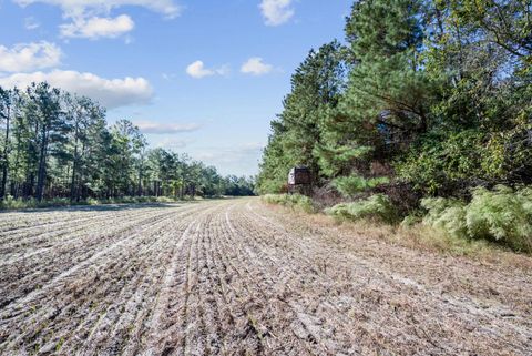 Tiny photo for 7901 Ashleigh Road, Blackville, SC 29817 (MLS # 220029)